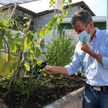 santos-vai-transformar-horta-comunitaria-de-policlinica-em-jardim-terapeutico