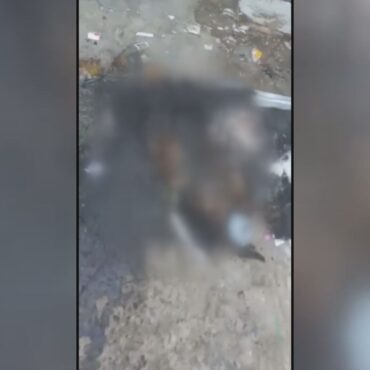 cachorro-morto-e-queimado-e-encontrado-em-calcada-no-litoral-de-sp-e-revolta-morador:-‘maldade’;-video