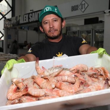 festival-do-camarao-oferece-pescados-com-ate-30%-de-desconto-em-santos