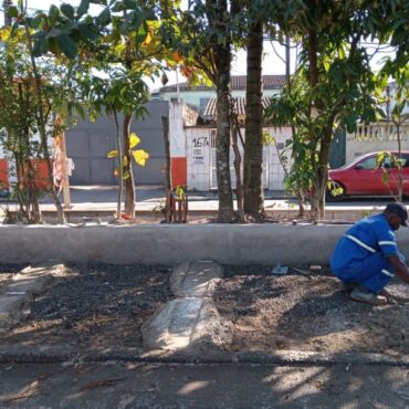 prefeitura-realiza-melhorias-em-canteiro-central-para-inibir-descarte-irregular-de-lixo