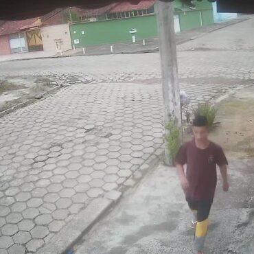 criminoso-invade-casa,-ignora-cachorro-e-furta-imovel-no-litoral-de-sp;-video