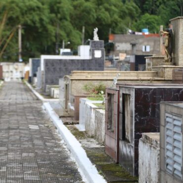 zoonoses-realiza-acao-para-controle-de-pragas-nos-cemiterios-de-guaruja