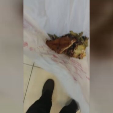 gravida-afirma-ter-sido-humilhada-em-restaurante-apos-passar-mal-e-pedir-para-embalar-comida:-‘colocou-em-uma-sacola-plastica’;-video