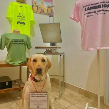 dona-de-cadela-com-cancer-consegue-arrecadar-r$-20,7-mil-para-realizar-o-tratamento:-‘estou-extasiada’