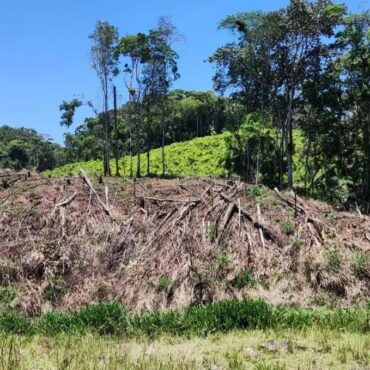 homem-e-multado-em-mais-de-r$-39-mil-por-destruir-area-de-vegetacao-nativa-no-interior-de-sp