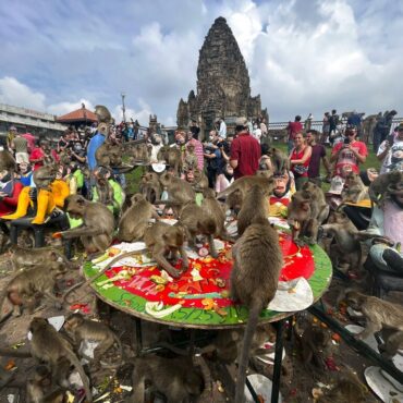 macacos-sao-homenageados-com-banquete-em-festival-na-tailandia;-veja-fotos