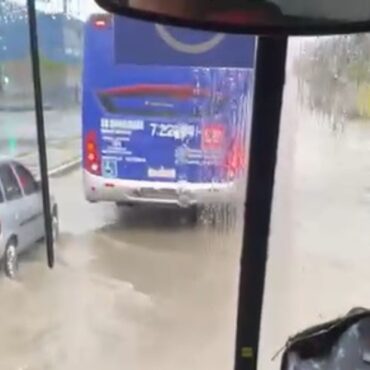 chuva-e-ventos-fortes-causam-queda-de-arvores-e-pontos-de-alagamento-na-baixada-santista