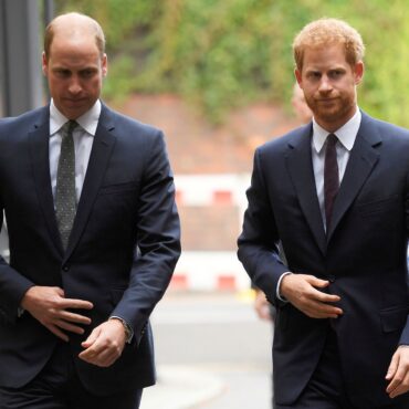 principe-harry-diz-que-william-o-derrubou-no-chao-por-causa-de-meghan