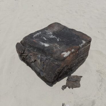 novo-fardo-de-navio-nazista-e-encontrado-em-praia-do-litoral-de-sp;-‘interessante-e-historico’