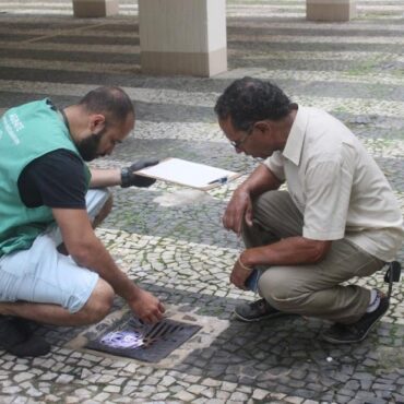 mutirao-contra-aedes-aegypti-elimina-115-focos-do-mosquito-em-bairro-de-santos