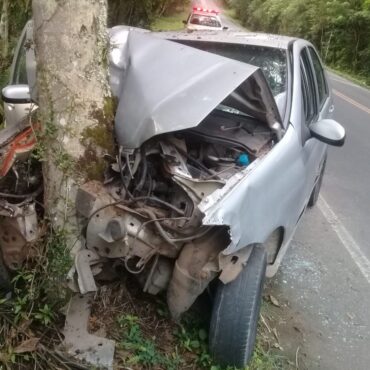 carro-bate-em-arvore-e-deixa-tres-feridos-em-rodovia-de-acesso-a-regis-bittencourt,-sp