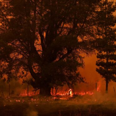 incendios-florestais-no-chile-deixam-24-mortos-e-quase-mil-feridos