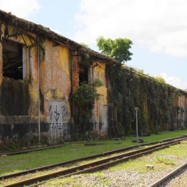 homem-e-atingido-por-trem-e-tem-a-perna-amputada-no-porto-de-santos,-sp