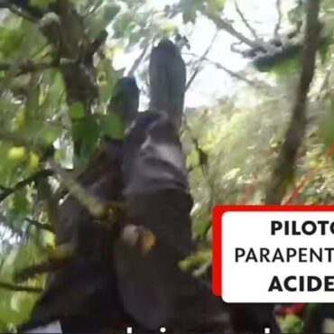 video:-piloto-de-parapente-colide-com-arvores-e-camera-registra-acidente-na-franca