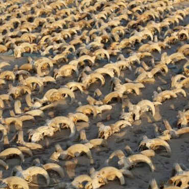 mais-de-2-mil-cabecas-de-carneiro-mumificadas-descobertas-no-egito