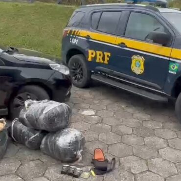 policia-rodoviaria-federal-apreende-44-kg-de-‘supermaconha’-no-interior-de-sp