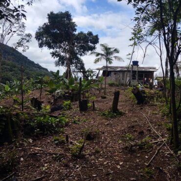 corpo-e-encontrado-sem-cabeca-e-bracos-em-parque-de-preservacao-ambiental-no-interior-de-sp