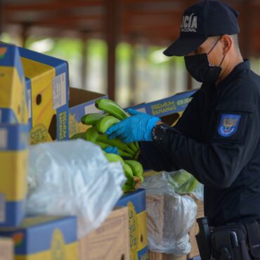 policia-da-italia-encontra-800-milhoes-de-euros-em-cocaina-dentro-de-caixas-de-bananas