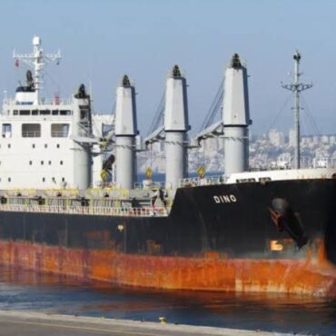 tripulante-de-navio-nigeriano-atracado-no-porto-de-santos-e-diagnosticado-com-malaria,-afirma-anvisa