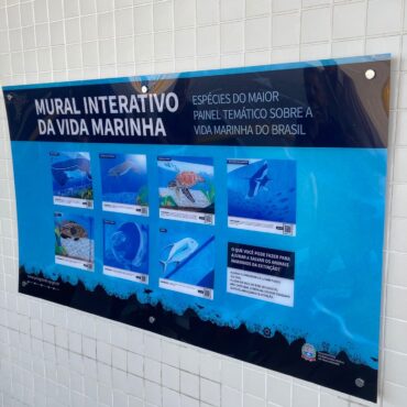 maior-mural-sobre-a-vida-marinha-do-brasil-ganha-versao-interativa;-video