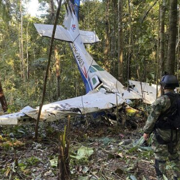 mae-de-criancas-resgatadas-na-selva-colombiana-sobreviveu-por-4-dias-apos-queda-de-aviao,-diz-pai