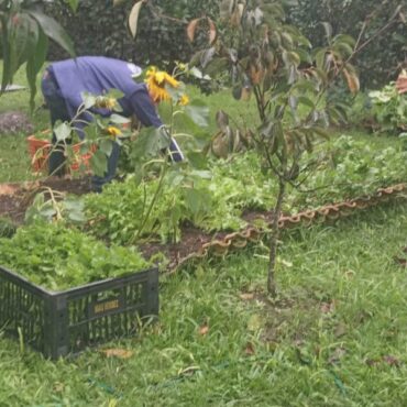 feira-da-cidadania-ja-entregou-mais-de-seis-toneladas-de-alimentos