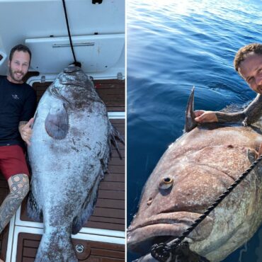 peixe-‘gigante’-de-180-kg-abocanha-presa-e-acaba-fisgado-sem-querer-no-litoral-de-sp;-fotos