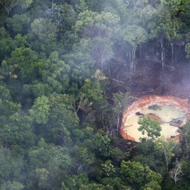 venezuela-retira-1.300-garimpeiros-ilegais-de-reserva-natural-na-amazonia