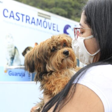 santos-e-guaruja-adotam-novos-servicos-para-facilitar-a-castracao-animal