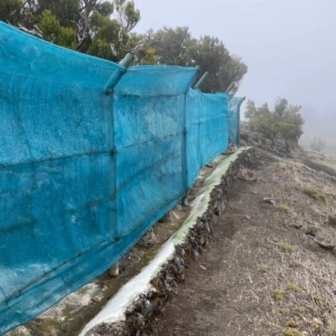 com-pouca-chuva,-moradores-das-ilhas-canarias-coletam-neblina-para-irrigacao-e-ate-consumo