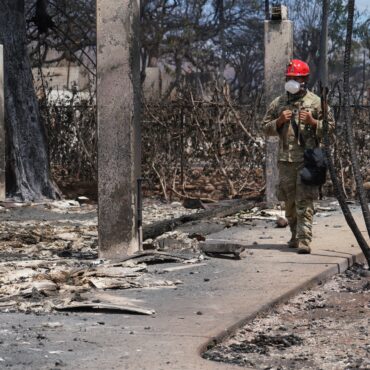 incendios-no-havai:-brasileiro-que-perdeu-casa-teve-poucos-minutos-para-fugir-do-fogo