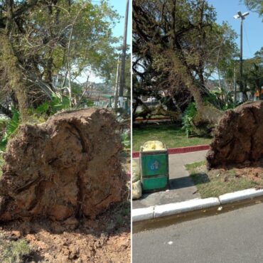 ciclone-extratropical-provoca-rajadas-de-vento,-causa-estragos-e-assusta-moradores-no-litoral-de-sp;-video