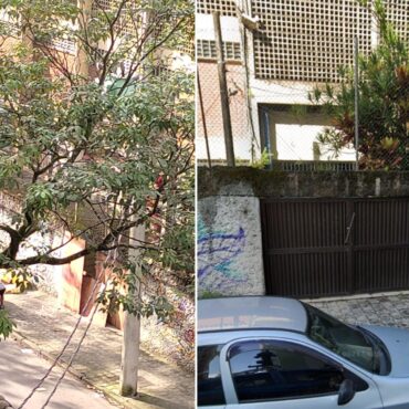 escola-estadual-desativada-e-alvo-de-invasoes,-furtos-e-atos-de-vandalismo-em-santos;-video