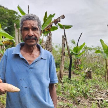 ‘coruja’-e-uma-receita-antiga-feita-com-mandioca-e-que-mantem-viva-a-cultura-quilombola-no-vale-do-ribeira;-conheca-e-aprenda