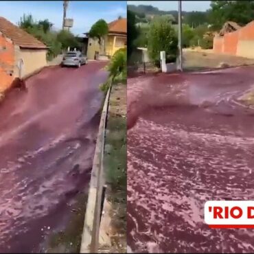 video:-‘rio’-de-vinho-inunda-ruas-de-cidade-em-portugal-apos-deposito-estourar