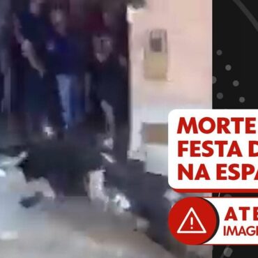 video:-homem-morre-ao-ser-atingido-por-touro,-e-espanha-volta-a-debater-fim-de-festas-com-o-animal