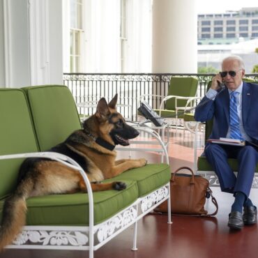 cachorro-de-joe-biden-e-‘afastado’-da-casa-branca-apos-morder-agente-do-servico-secreto