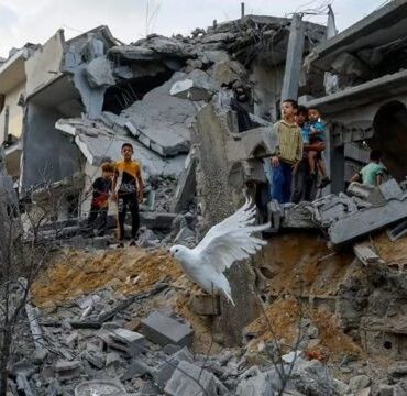 bombardeios-de-israel-deixam-340-mil-desabrigados-e-mais-de-1,4-mil-mortos-em-gaza;-metade-sao-mulheres-e-criancas