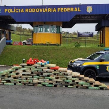 mais-de-1-tonelada-de-maconha-e-apreendida-na-rodovia-regis-bittencourt,-sp