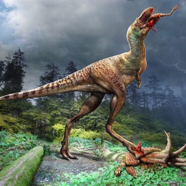 cientistas-encontram-fossil-de-primo-do-t.-rex-com-ultimas-refeicoes-no-estomago