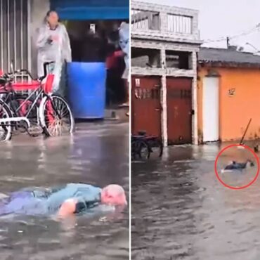homem-mergulha-de-cabeca-em-enchente-no-litoral-de-sp:-‘vai,-olimpiadas’;-video