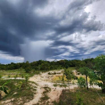 video-flagra-fenomeno-que-destruiu-plantacoes-de-bananas-no-interior-de-sp-e-provocou-prejuizo-de-r$-25-milhoes