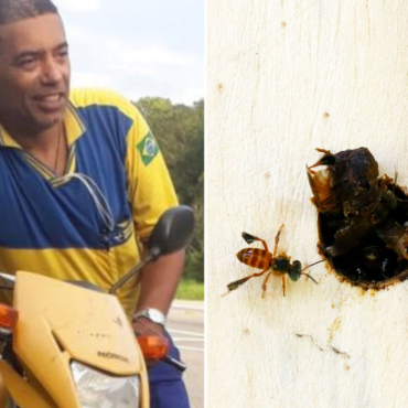 carteiro-morre-apos-ser-atacado-por-abelhas-durante-entrega-no-litoral-de-sp