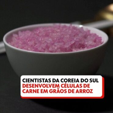 cientistas-da-coreia-do-sul-desenvolvem-celulas-de-carne-em-graos-de-arroz