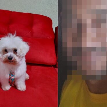 pm-aposentado-e-acusado-agredir-esposa,-invadir-casa-e-fugir-com-o-cachorro-do-casal