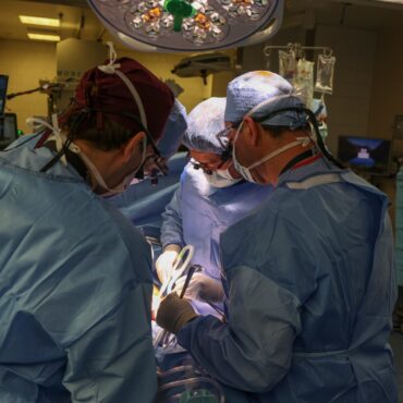 medico-brasileiro-comanda-o-1o-transplante-de-rim-de-porco-para-um-humano,-nos-eua