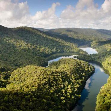 mp-obtem-liminar-para-impedir-que-votorantim-retire-plantas-de-forma-irregular-da-maior-reserva-privada-de-mata-atlantica