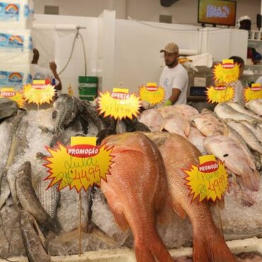 ainda-da-tempo:-santos-tem-opcoes-para-a-compra-de-pescados