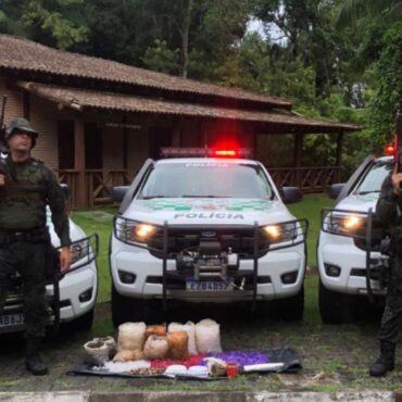 pm-ambiental-encontra-maconha-enterrada-em-‘esconderijo’-dentro-de-parque-estadual-no-litoral-de-sp