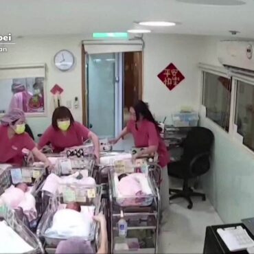 ‘claro-que-ficamos-com-medo,-mas-e-o-instinto-natural’:-funcionarias-de-maternidade-protegem-bebes-durante-tremor-em-taiwan;-video